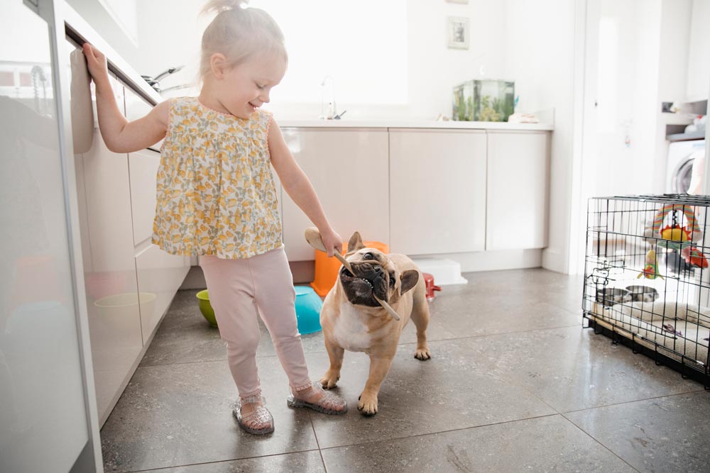 Little-girl-playing-with-a-young-French-Bulldog-Puppy - Trusted Puppies